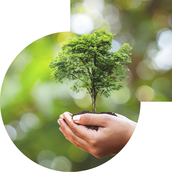 关怀人类、文化、环境与社会